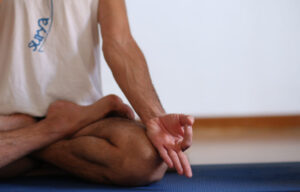 surya-scuola-yoga-cosenza